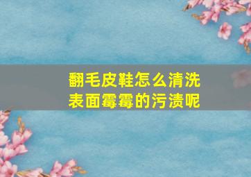 翻毛皮鞋怎么清洗表面霉霉的污渍呢