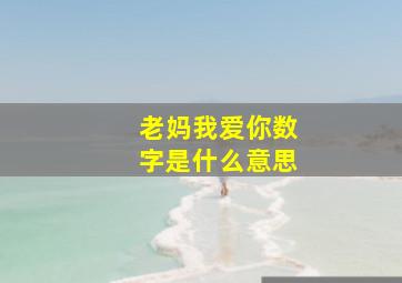 老妈我爱你数字是什么意思