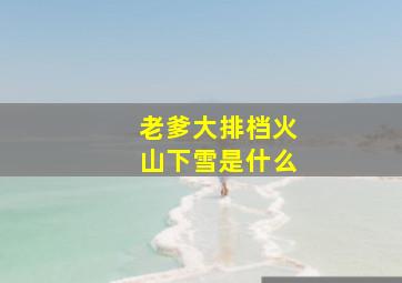 老爹大排档火山下雪是什么