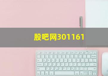 股吧网301161