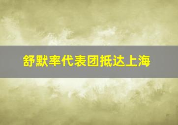 舒默率代表团抵达上海