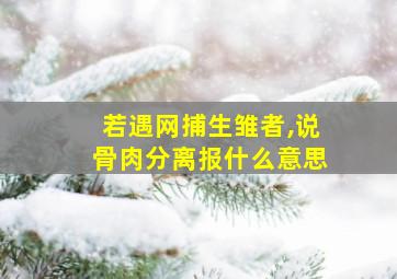 若遇网捕生雏者,说骨肉分离报什么意思