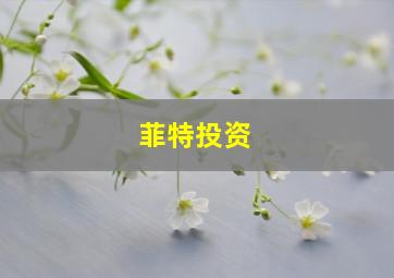 菲特投资