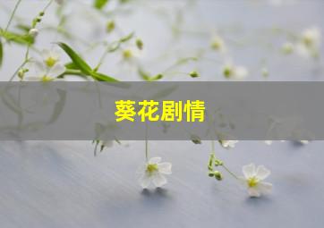 葵花剧情