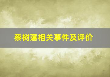 蔡树藩相关事件及评价