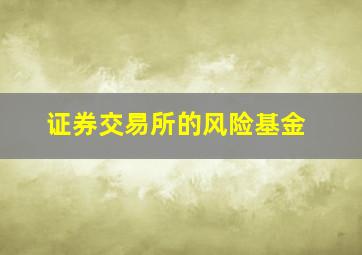 证券交易所的风险基金