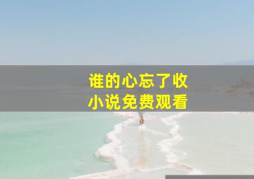 谁的心忘了收小说免费观看