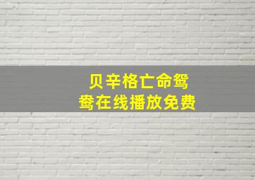 贝辛格亡命鸳鸯在线播放免费