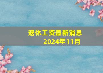 退休工资最新消息2024年11月