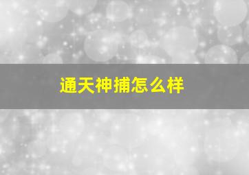 通天神捕怎么样