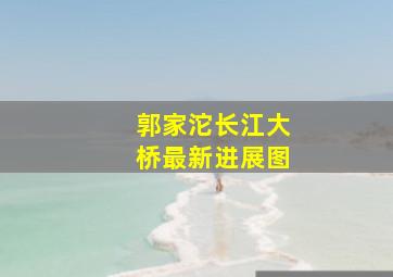 郭家沱长江大桥最新进展图