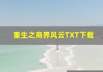 重生之商界风云TXT下载