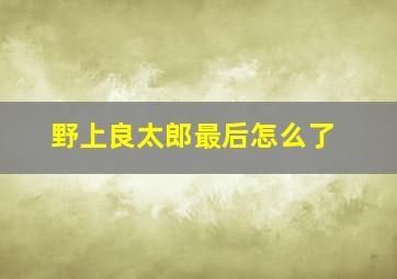 野上良太郎最后怎么了