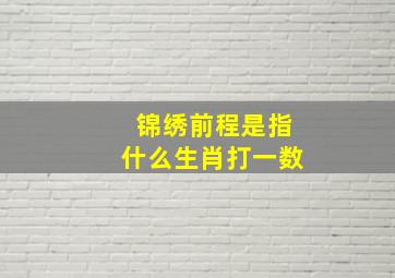 锦绣前程是指什么生肖打一数