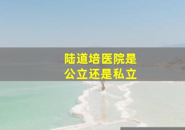 陆道培医院是公立还是私立