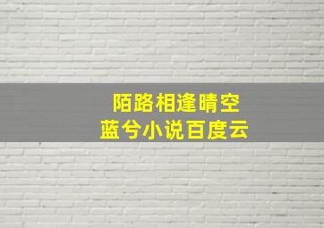 陌路相逢晴空蓝兮小说百度云