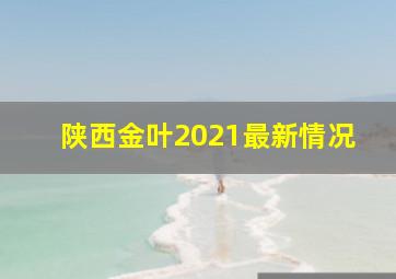 陕西金叶2021最新情况