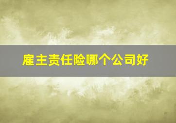 雇主责任险哪个公司好