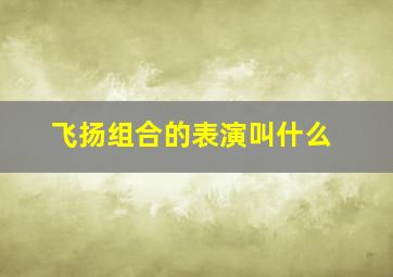 飞扬组合的表演叫什么