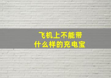 飞机上不能带什么样的充电宝