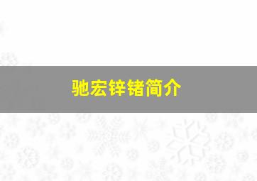 驰宏锌锗简介