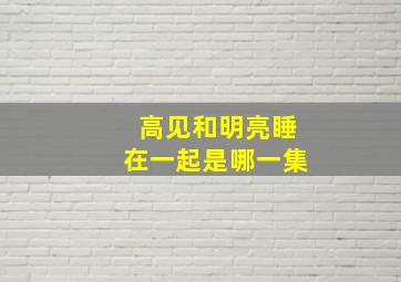 高见和明亮睡在一起是哪一集