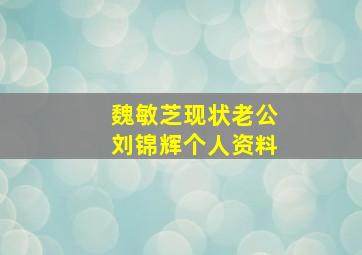 魏敏芝现状老公刘锦辉个人资料