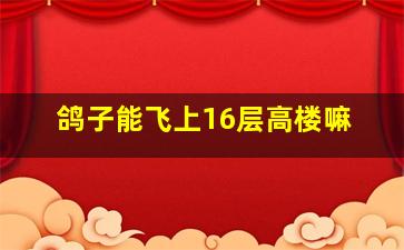 鸽子能飞上16层高楼嘛