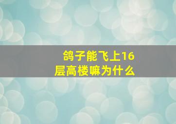 鸽子能飞上16层高楼嘛为什么