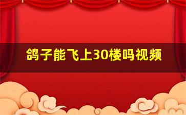 鸽子能飞上30楼吗视频