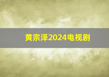 黄宗泽2024电视剧