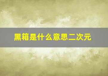 黑箱是什么意思二次元