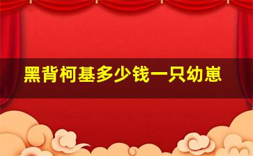 黑背柯基多少钱一只幼崽