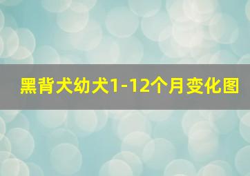 黑背犬幼犬1-12个月变化图