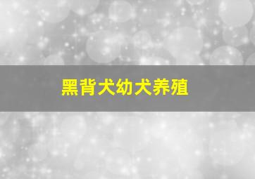 黑背犬幼犬养殖