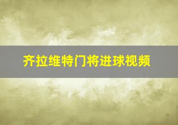 齐拉维特门将进球视频