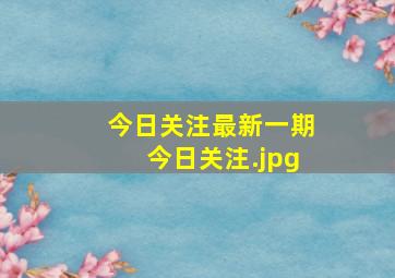 今日关注最新一期今日关注