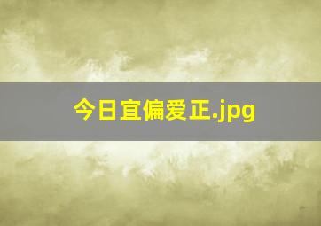 今日宜偏爱正