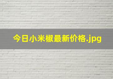 今日小米椒最新价格