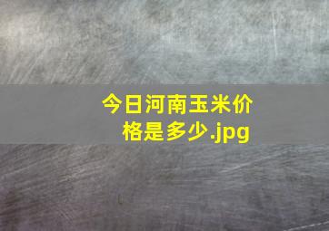 今日河南玉米价格是多少