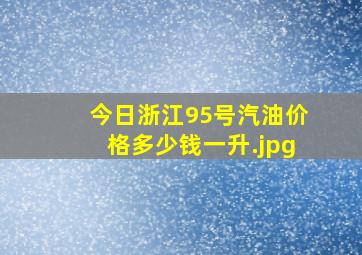 今日浙江95号汽油价格多少钱一升