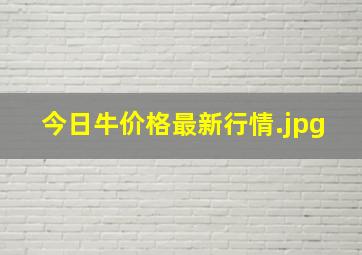 今日牛价格最新行情