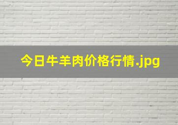 今日牛羊肉价格行情