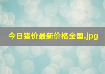 今日猪价最新价格全国