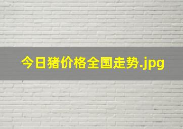 今日猪价格全国走势