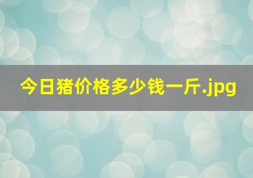 今日猪价格多少钱一斤