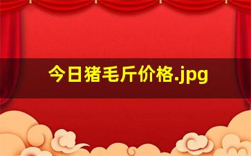 今日猪毛斤价格