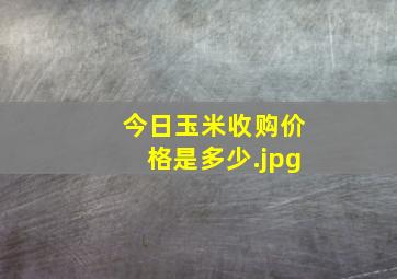 今日玉米收购价格是多少