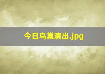 今日鸟巢演出