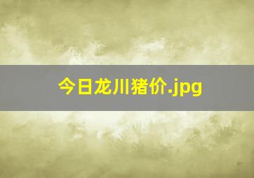 今日龙川猪价